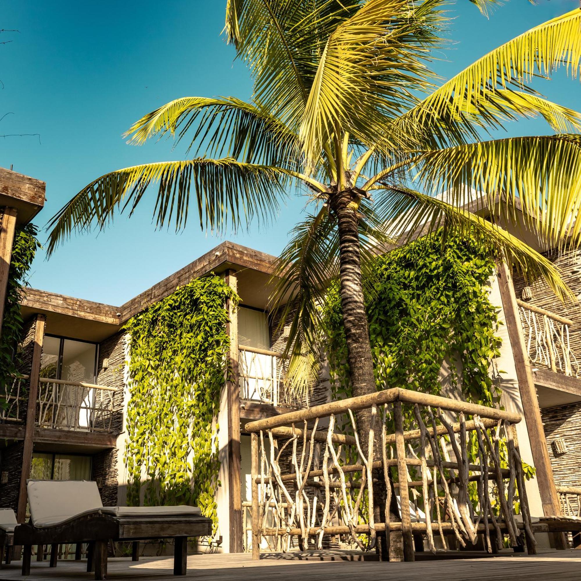 Apenunga Eco Hotel Жижока-ди-Жерикуакуара Экстерьер фото